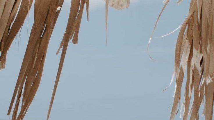 Bikinis para disfrutar sin preocupaciones