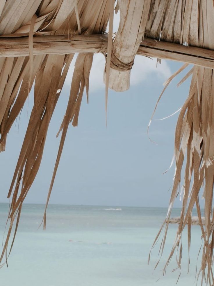 Bikinis para disfrutar sin preocupaciones